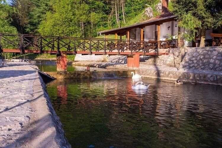 Valja Mare Moma Διαμέρισμα Golubac Εξωτερικό φωτογραφία